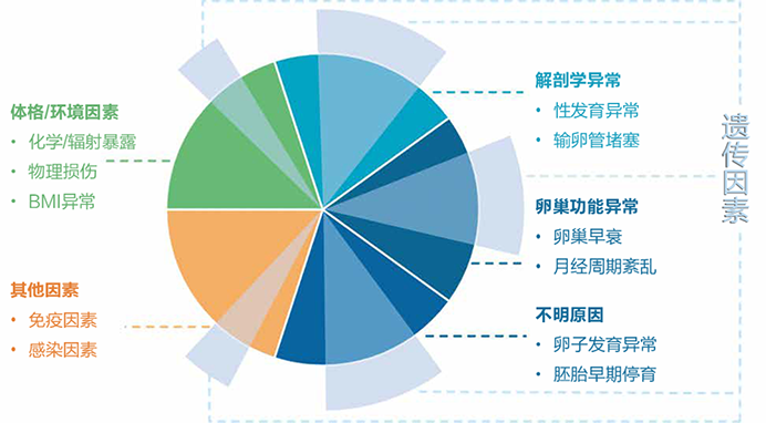 1598834073280456副本.png