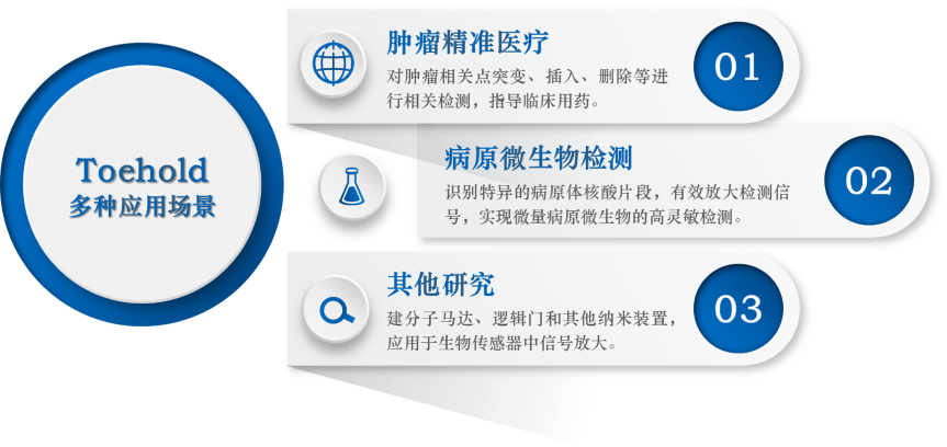 Toehold应用场景.png