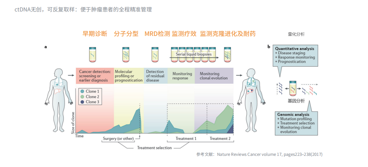 肺癌血液18基因检测(1)_31).png