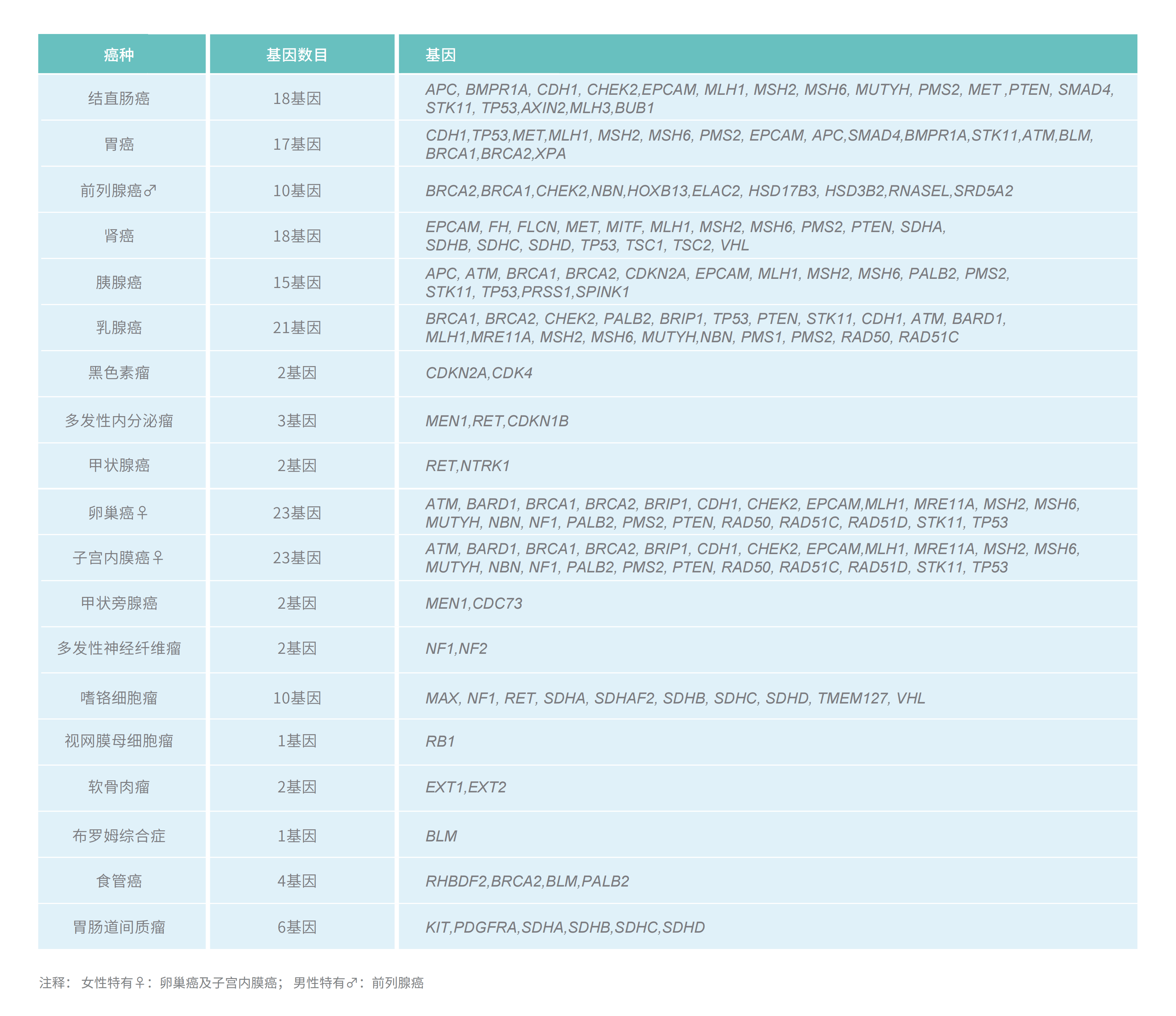 彩页排版4.0-未带标签_18.png