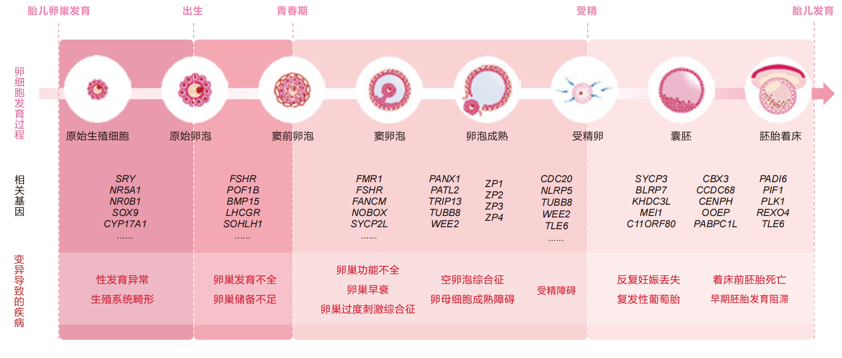 伊阅.png